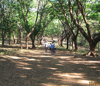 naturl trek