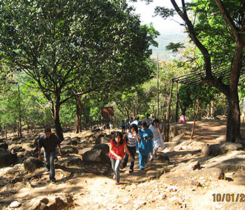 naturl trek