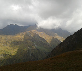 naturl trek