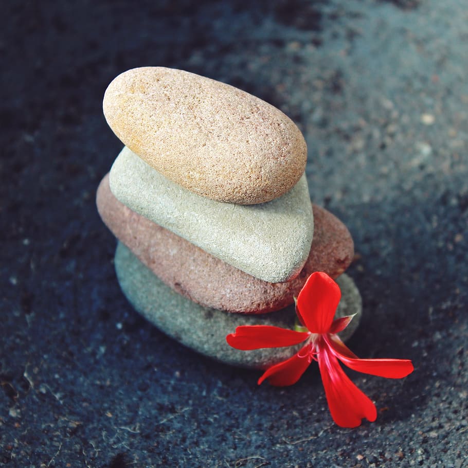 Holistic Health Sessions